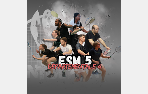 91-ESM-5 D4