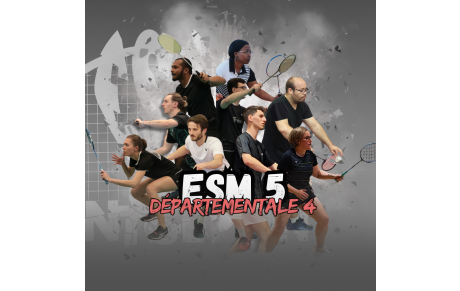 91-ESM-5 D4